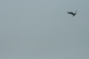 img_2707_0