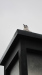 img_1755